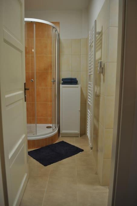 Apartment In Praha 3 Eksteriør bilde